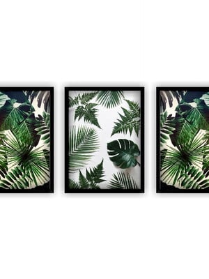 Trio de quadros de folhagens com vidro tam: 24 x 33 cm cada