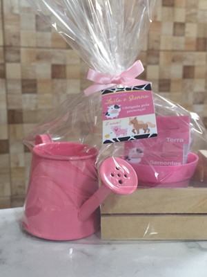 Kit jardinagem caixote com regador
