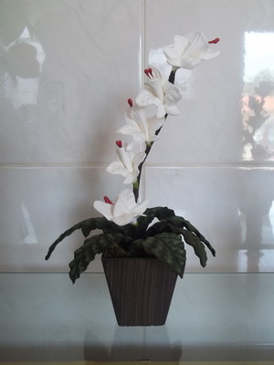 Arranjo de flores - orquídia