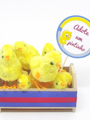 Caixote com pintinhos