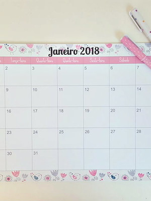 Planner mensal passarinhos 2024
