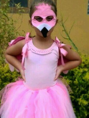 Fantasia de flamingo com asas