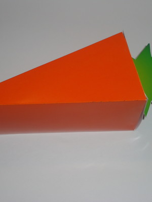 Cone triangular cenoura