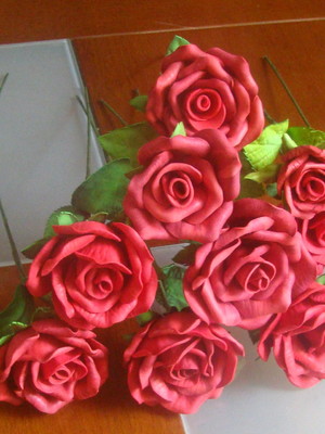 Rosas avulsa de eva