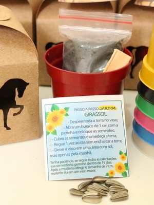 Kit kraft com sementes de flores - tema haras