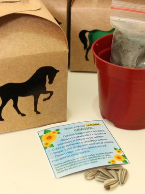 Kit kraft com sementes de flores - tema cavalinho