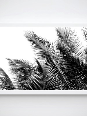 Poster com moldura palmeira p&b 2