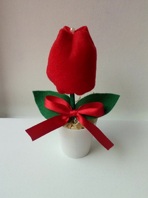 Vasinho tulipas