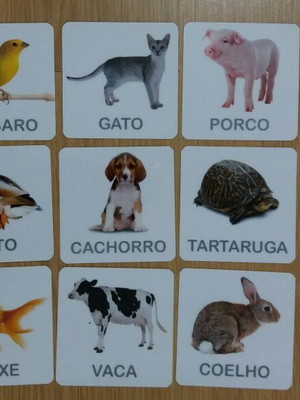 Kit 12 flashcards animais domésticos atividades montessori