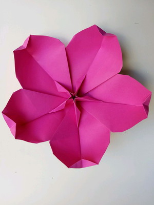 Flor de cerejeira| flores gigantes | decoração