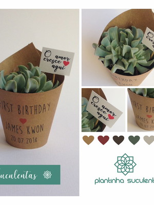 Plantinhas suculentas para aniversario de 1 ano
