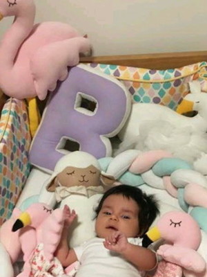 Kit bebê flamingo