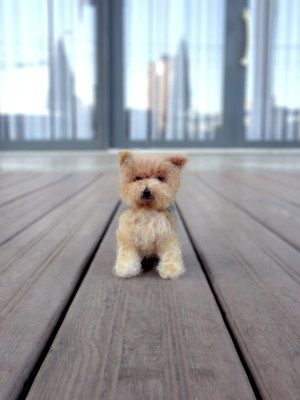 Yorkshire - miniatura de cachorro
