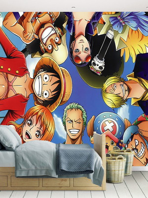 Papel de parede one piece