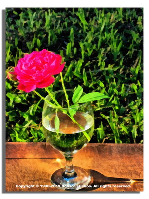 Coleção flores 2019