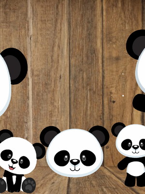 Display panda