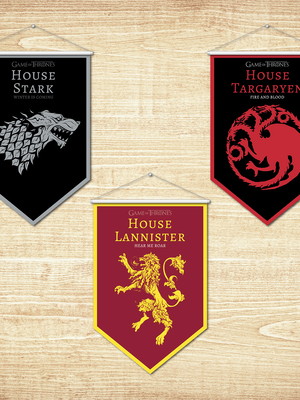 Kit 3 banners / game of thrones (40x60)
