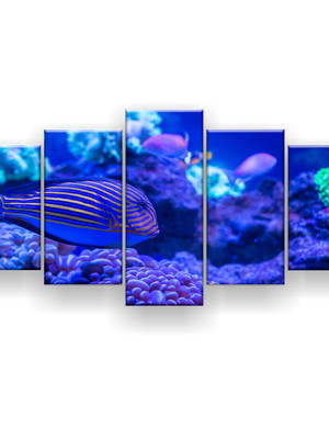 Quadro decorativo peixe ornamental 129x61 sala quarto
