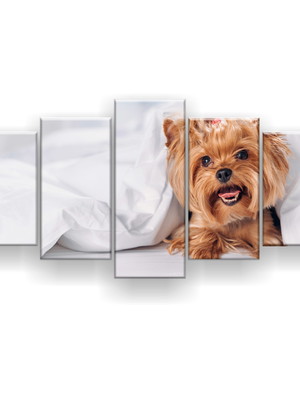 Quadro decorativo yorkshire lençol 129x61 sala quarto