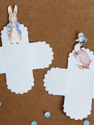 Forminha peter rabbit pedro o coelho