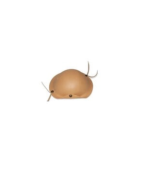 Chapeu eva cangaceiro c/1 unidade