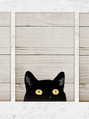 3 quadros decorativos gato curioso