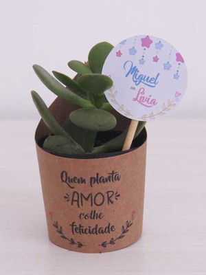 Rótulo + tag para suculenta chá revelação