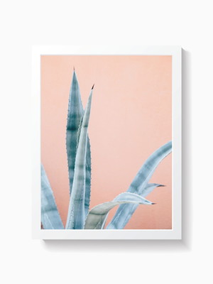 Quadro decorativo poster suculenta decoração planta 1