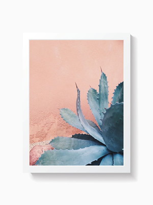 Quadro decorativo poster suculenta decoração planta 2