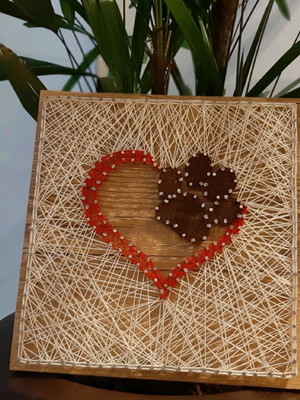 Quadro coração pet