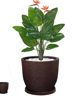 1 vaso grande de planta frutifera 60x56 + prato pollietileno