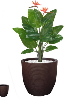 1 vaso grande redondo de planta frutifera 60x56 polietileno