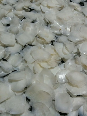 Lote 126 - escama de peixe ( corvina) pequenas