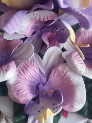 Flor de eva avulsa