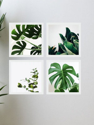 Quadro decorativo folhagens verdes costela de adão moldura