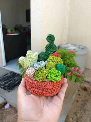 Cactos em crochê