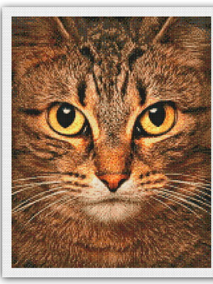 Gato malhado #t1 - gráfico ponto cruz