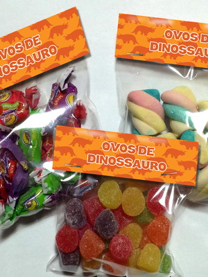 Lapela com saquinho dinossauros não acompanha doces