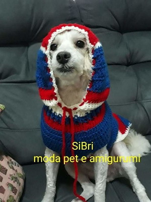 Casaco pet cachorro de croche com capuz