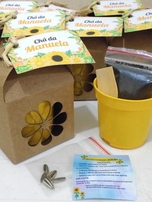 Kit kraft com sementes de flores - tema festa girassol