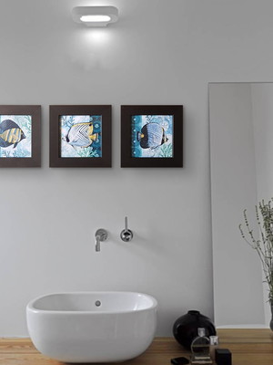 Trio de quadros pretos de peixes com moldura e vidro