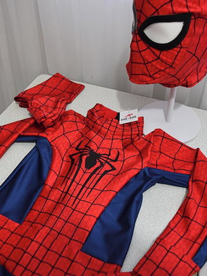 Homem aranha tam 12