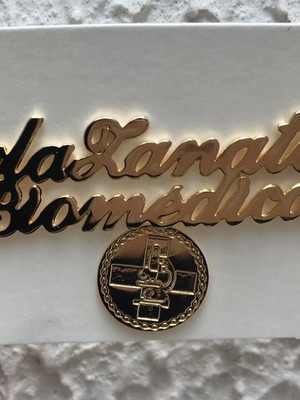 Broche personalizado com nome, profissão+simbolo