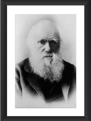 Quadro charles darwin grandes ciencia biologia preto branco