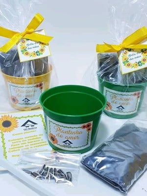 Kit ecológico/jardinagem para lembrancinha