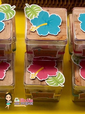 Caixinha de acrílico moana
