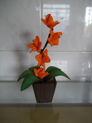 Arranjo de flores - orquídia