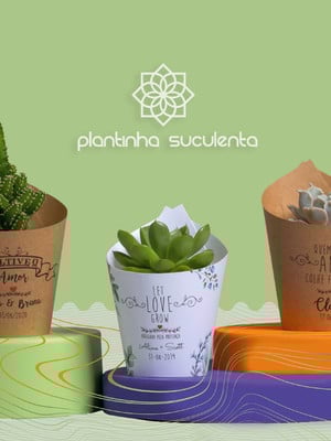 Plantinha suculenta - mini suculentas para lembrancinha