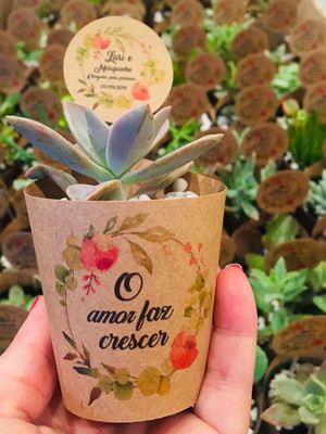 Lembrancinha o amor faz crescer - suculentas