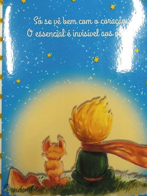 Cadernos de discos